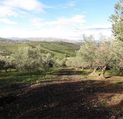 terreno agricolo in vendita a Palagonia
