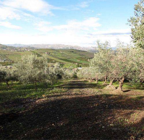 terreno agricolo in vendita a Palagonia
