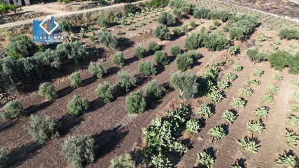 terreno agricolo in vendita a Palagonia