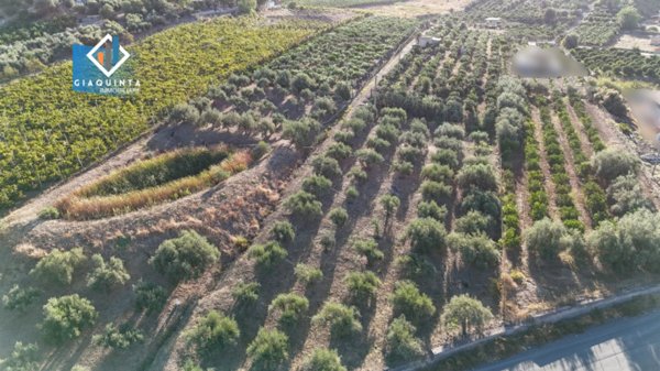 terreno agricolo in vendita a Palagonia