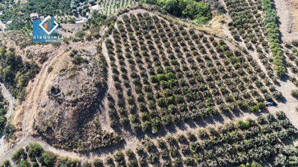 terreno agricolo in vendita a Palagonia