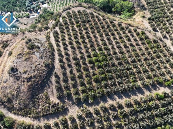 terreno agricolo in vendita a Palagonia