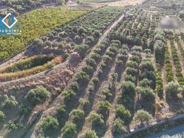 terreno agricolo in vendita a Palagonia