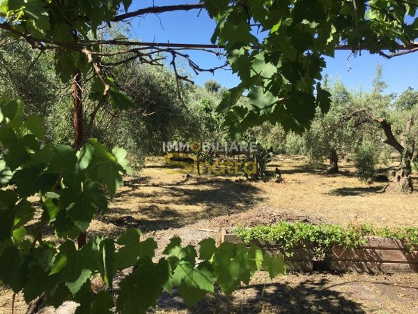 terreno edificabile in vendita a Palagonia