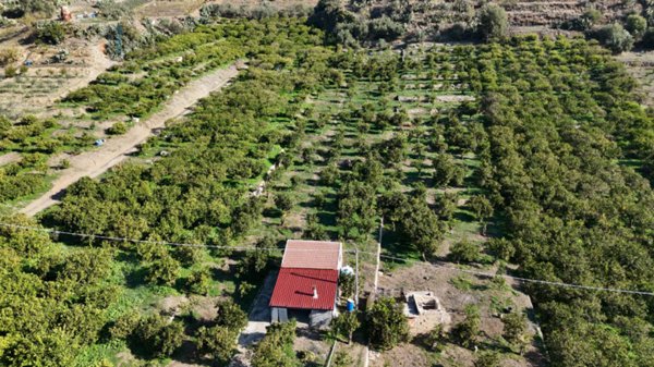 terreno agricolo in vendita a Palagonia