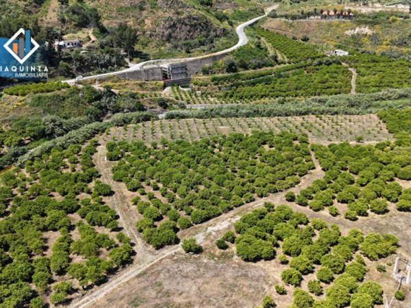 terreno agricolo in vendita a Palagonia