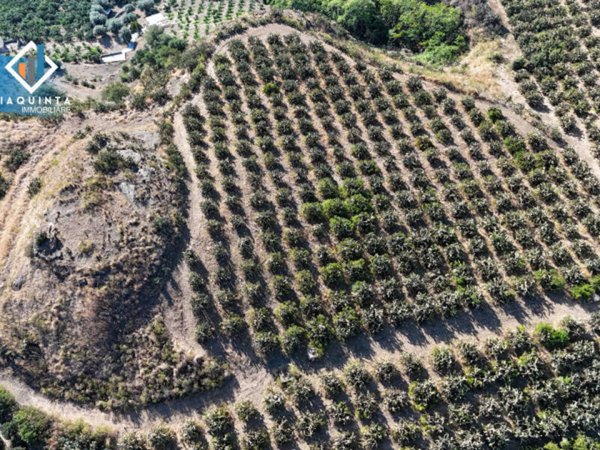 terreno agricolo in vendita a Palagonia