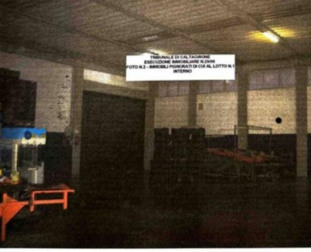 pentavano in vendita a Palagonia