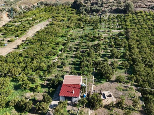 terreno agricolo in vendita a Palagonia