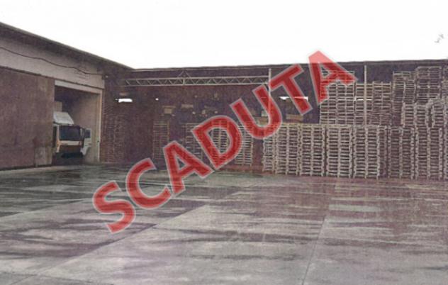 pentavano in vendita a Palagonia