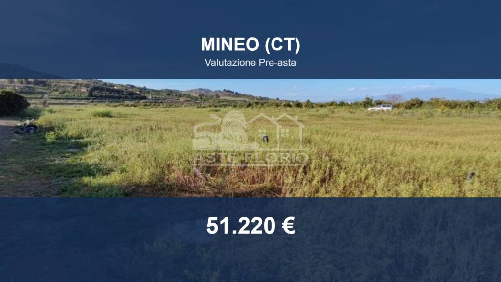 terreno agricolo in vendita a Palagonia