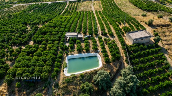 terreno agricolo in vendita a Palagonia