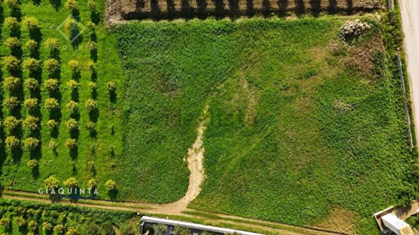 terreno edificabile in vendita a Palagonia