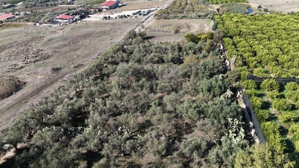 terreno agricolo in vendita a Palagonia