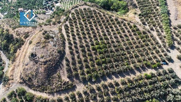 terreno in vendita a Palagonia