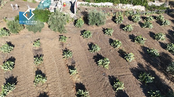terreno agricolo in vendita a Palagonia
