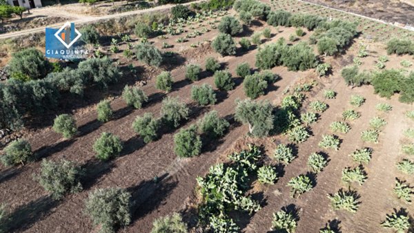 terreno in vendita a Palagonia