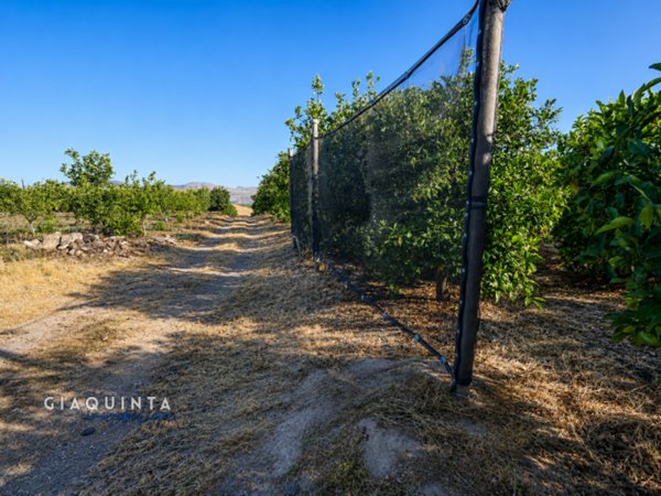 terreno in vendita a Palagonia