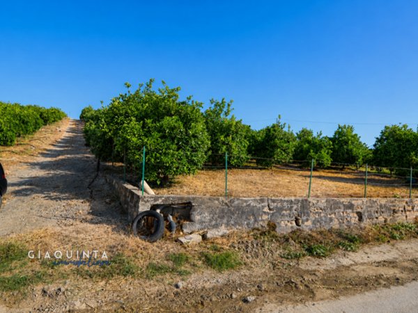 terreno in vendita a Palagonia