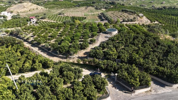 terreno agricolo in vendita a Palagonia