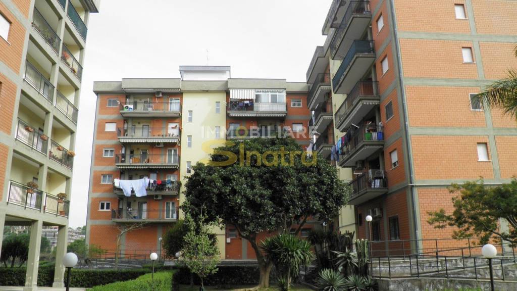 appartamento in vendita a Paternò