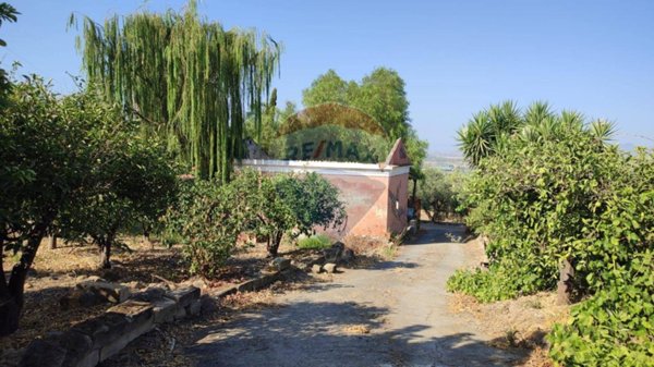 terreno agricolo in vendita a Paternò