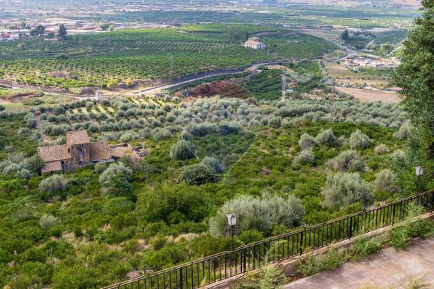 terreno agricolo in vendita a Paternò