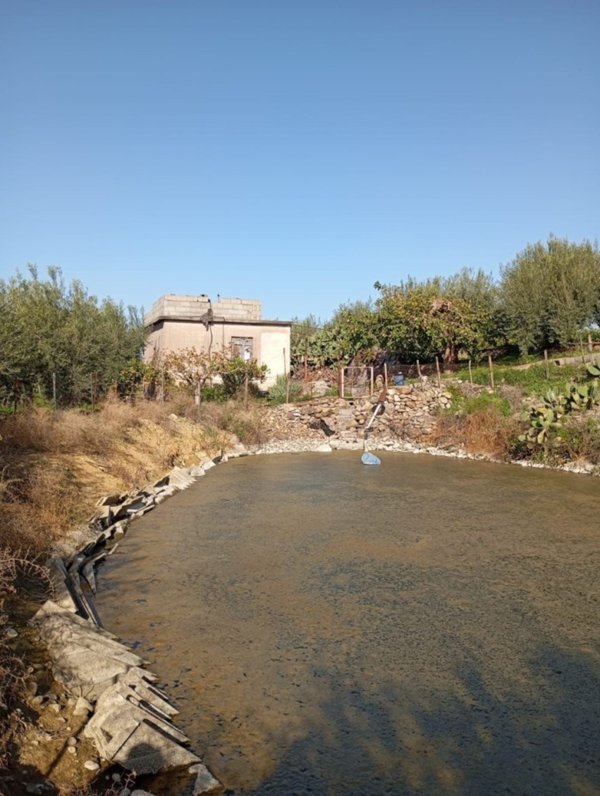 terreno agricolo in vendita a Paternò