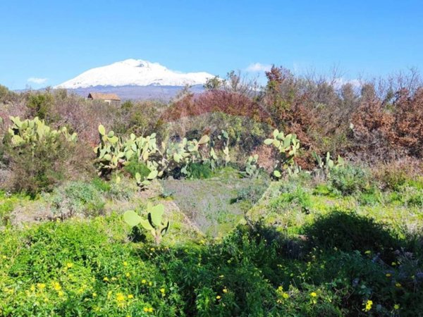 terreno agricolo in vendita a Paternò in zona Centro Storico