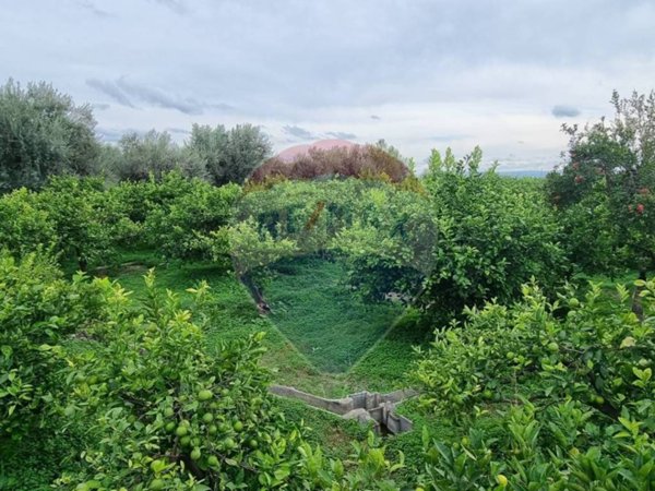 terreno agricolo in vendita a Paternò