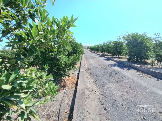 terreno agricolo in vendita a Paternò