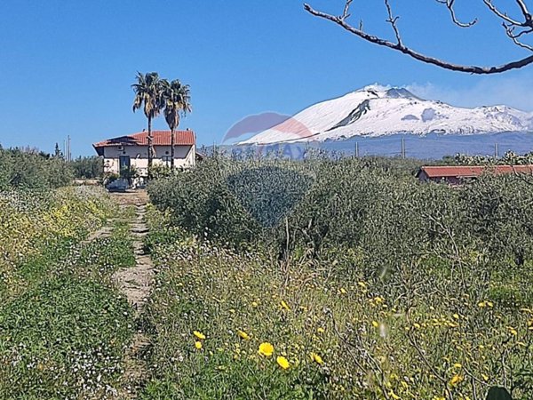 casa indipendente in vendita a Paternò