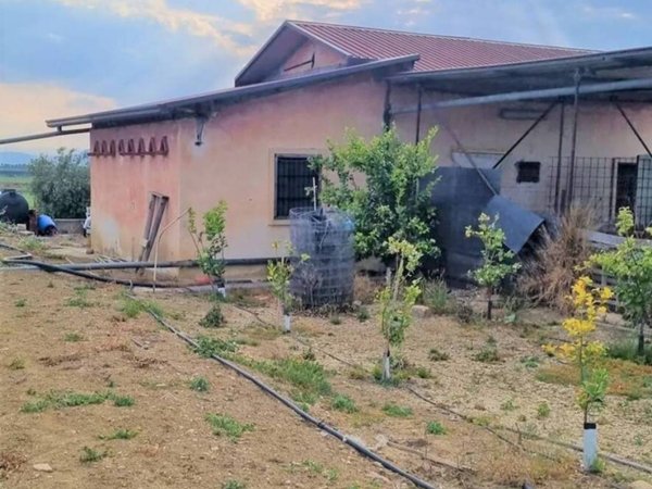 terreno agricolo in vendita a Paternò