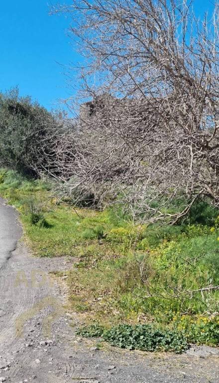 terreno agricolo in vendita a Paternò