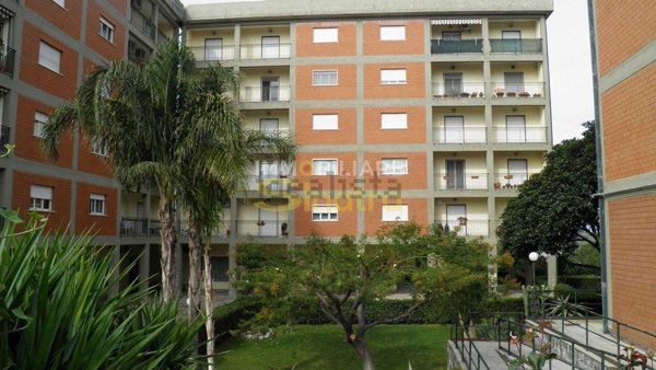 appartamento in vendita a Paternò