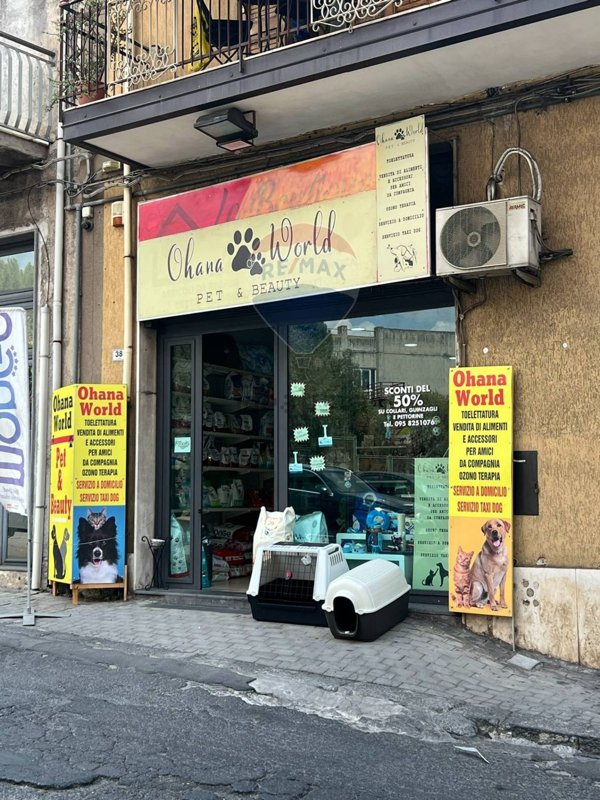 loft in vendita a Paternò