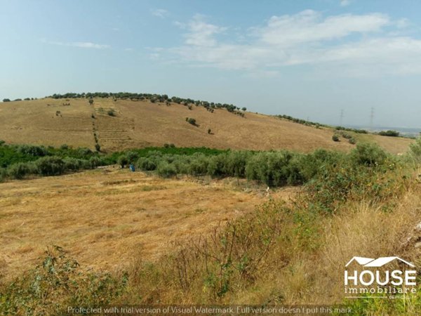 terreno agricolo in vendita a Paternò