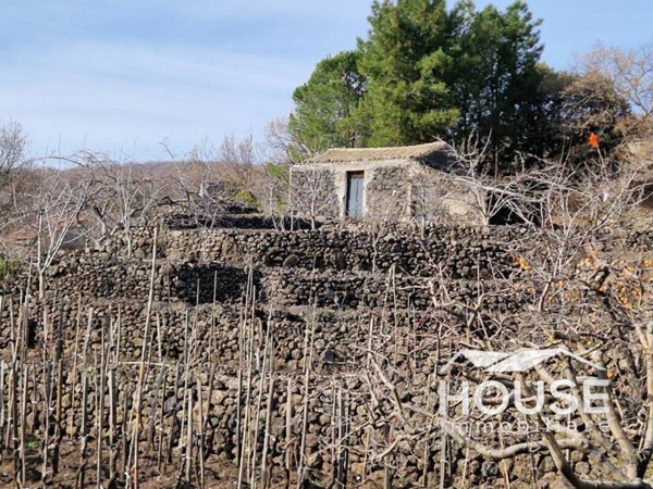 terreno agricolo in vendita a Paternò