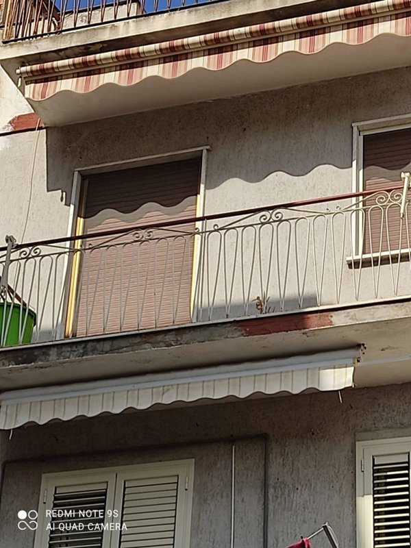 appartamento in vendita a Paternò