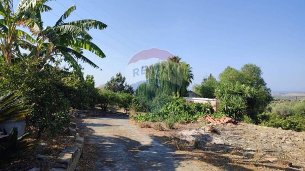 terreno agricolo in vendita a Paternò