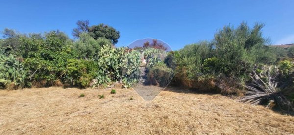 terreno agricolo in vendita a Paternò in zona Centro Storico
