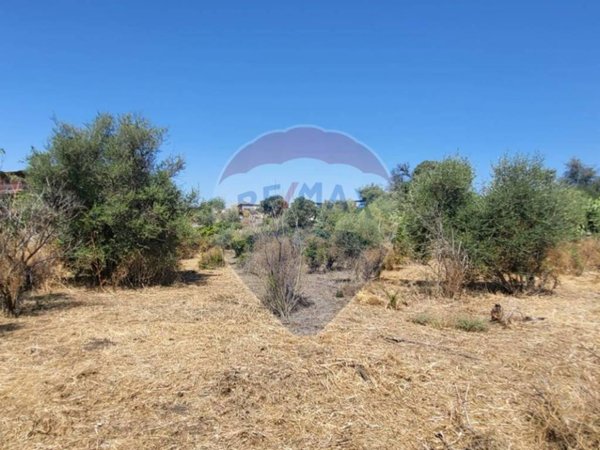 terreno agricolo in vendita a Paternò in zona Centro Storico