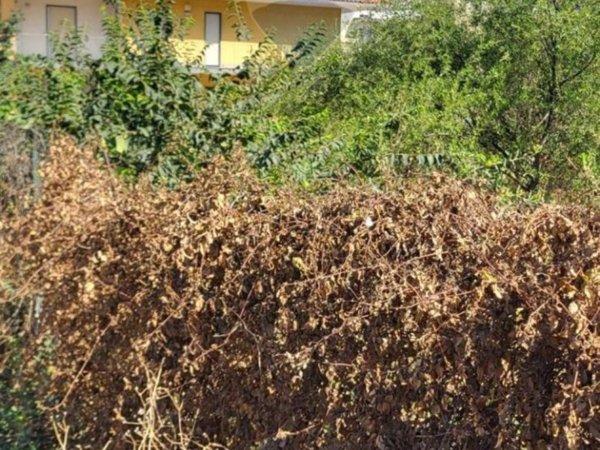 casa indipendente in vendita a Paternò