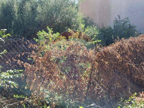 casa indipendente in vendita a Paternò