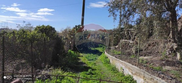 terreno agricolo in vendita a Paternò in zona Centro Storico