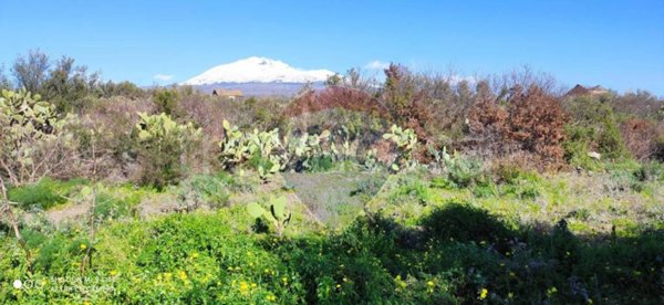 terreno agricolo in vendita a Paternò in zona Centro Storico