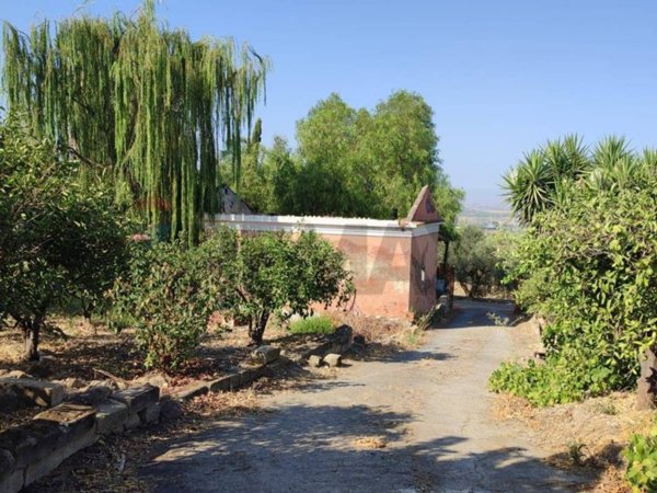 terreno agricolo in vendita a Paternò