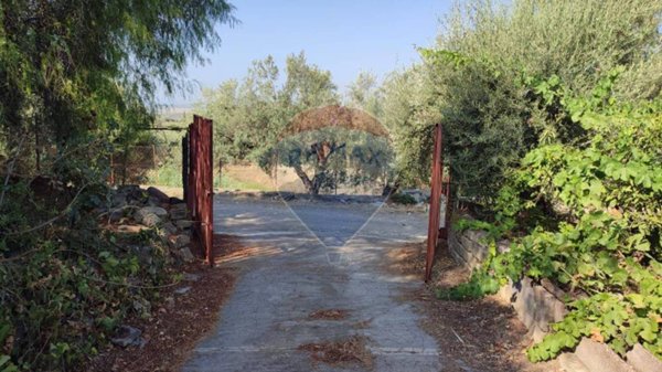 terreno agricolo in vendita a Paternò