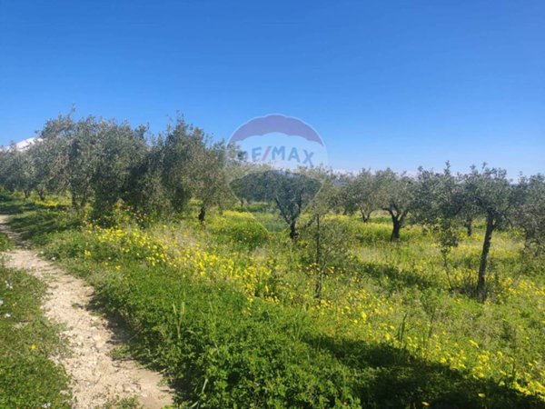 casa indipendente in vendita a Paternò