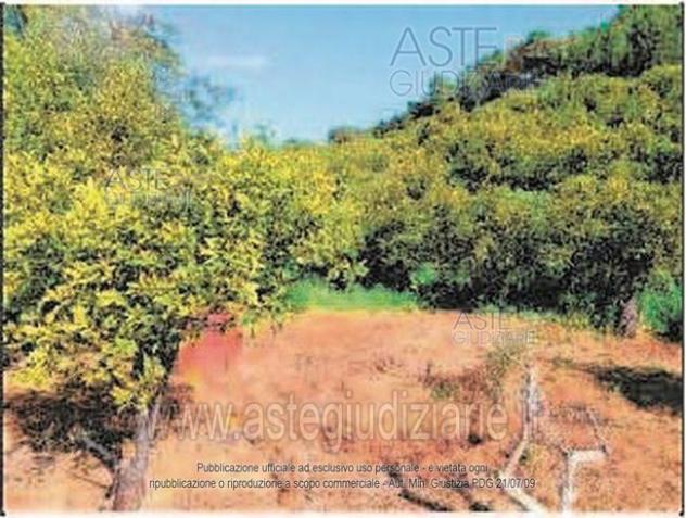 terreno agricolo in vendita a Paternò